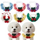 체리애견 이미지