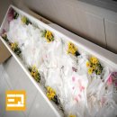 새동산병원 | 새동산병원장례식장 빈소 음식 고인을 향한 존경