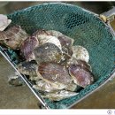 진미펜션 이미지