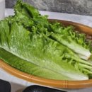 밥참잘하는집 이미지