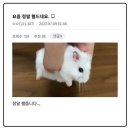 사랑으로