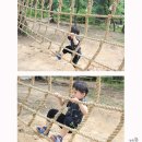 초안산 유아숲체험장 이미지