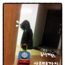 빈이청소 이미지