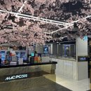 새로생긴pc방 이미지