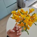 휘뚤마뚤 저녁파스타 , 다이소 엄마표 놀이 / 수요육아