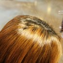 간단헤어커트(야간) 이미지