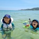 금포나루 원조돌게탕 | 부산 남포동 곰장어, 돌게탕 먹방 투어 : 40년 전통 태화산꼼장어, 금포나루원조돌게탕