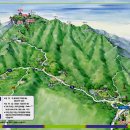 신선대 입구 임도 이미지