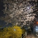 도농체육공원 이미지