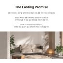 손쁜이
