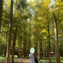 영덕 | 영덕여행 후기