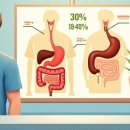 한국염소연구소 | 속이 편안해지는 저당 식단: 소화불량 완화를 위한 실전 가이드