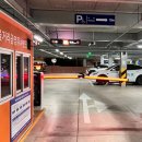 돼지머리족발집 중국식 | [안심족발] 바삭한 튀김 족발 VS 야들야들한 제주 흑돼지 족발