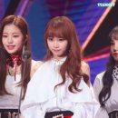 채원 Daum카페