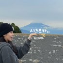 2023-05-0031 | 🇯🇵서씨네 in 시즈오카 3박4일 #1 / 타마루야, 미호노마츠바라, 돈키호테 쇼핑, 요시노야, 파르쉐쇼핑몰