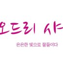 카페나예