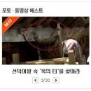 신라옥