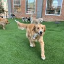 불리빌로우코리아센터 이미지