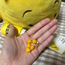 콤마랩스 이미지