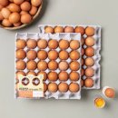 홀세일 | # 인천 트레이더스홀세일클럽 구월점 오픈 후기｜이마트 트레이더스 추천·할인정보