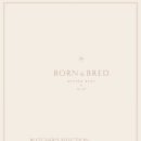 브레드본 이미지