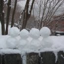 은빛세상 이미지