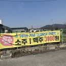 포천시 송우 맛집｜단체모임 하기 좋은 &#34;강경불고기 포천송우점&#34; 돼지불고기 후기