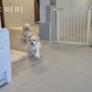 성수서울숲약국 이미지