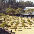 택수목장 네이버블로그