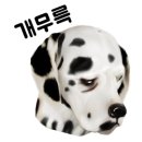 닥터 호오 동물병원 이미지