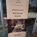 꽁띠 이미지