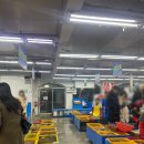 울타리활어센타 이미지
