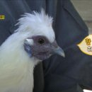 고은농산