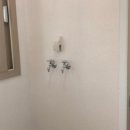 세영바이오 이미지