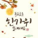 행복한수족관 이미지