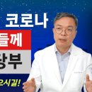 2023년 여름 코로나 확진되신 분들이 빨리 낫고 후유증을 최소화하기 위해서는 여름날씨, 증상,개인 건강 특성에 맞게 치료를 해야 합니 이미지