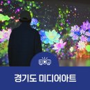 빛으로 만나는 붓다｜안산 미디어아트 전시 콘텐츠 제작 후기