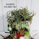 캔아트 이미지