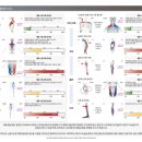 월드원짐 이미지