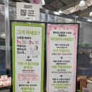 트레이더스 마곡 평일 방문 후기, 도보로 가는 방법, 멤버십 가입 안내