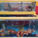 사계절잔치집 이미지