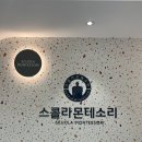 스콜라몬테소리고양 이미지