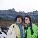 세신전기철물