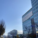 국립암센터 | 국립암센터 복부 CT 후기 (난소경계성종양 추적관찰 中)