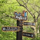 청목산악회, 2024년 6월 산행 안내(제271차) 이미지