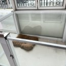 쫑랑쫑랑 이미지