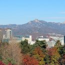 남산 - 강남구 삼성로 648 | 남산