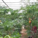 민서농장 이미지