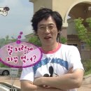 퍼피그램 이미지