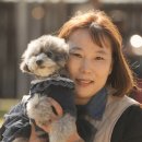 옐로우 켄넬 이미지